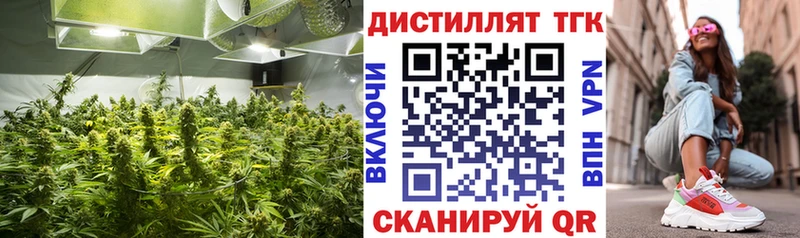 это состав  Олёкминск  Дистиллят ТГК жижа 