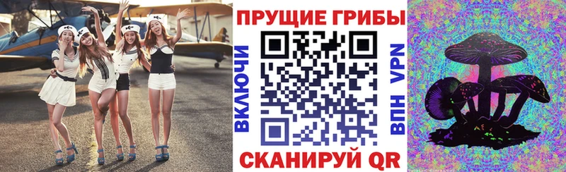 Псилоцибиновые грибы MAGIC MUSHROOMS  наркотики  Олёкминск 