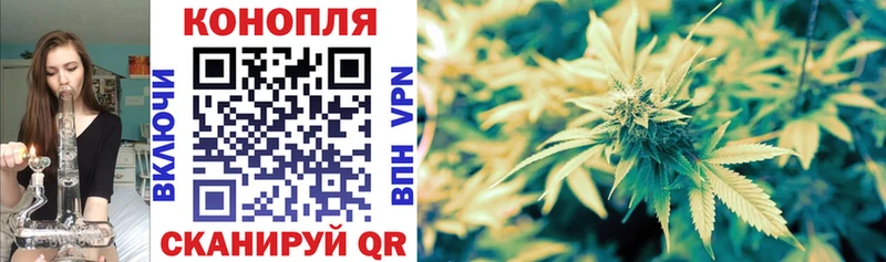 Бошки марихуана THC 21%  OMG как войти  Олёкминск 