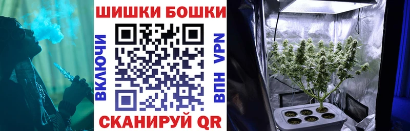 Бошки Шишки планчик Олёкминск